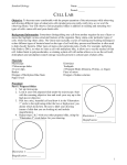 Cell Lab Extra