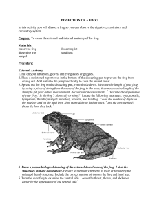 DISSECTION OF A FROG