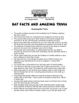 Bat Facts and Amazing Trivia - White