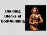 Building Blocks of Bodybuilding