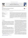 Sphingolipids and lysosomal pathologies - Limes-Institut-Bonn