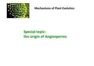 origin of Angiosperms