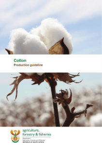 Cotton production guideline
