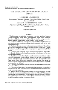 the kinematics of swimming in anuran larvae