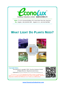 What Light Do Plants Need? (EconoLux Publication)