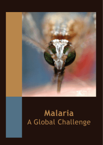 Malaria - Microbiology Online