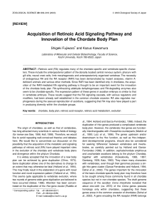 Acquisition of Retinoic Acid Signaling Pathway and