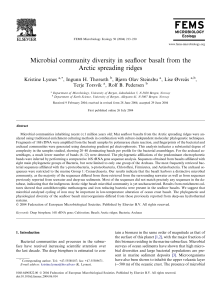 Microbial community diversity in seafloor basalt from the Arctic