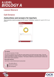 Cell division - Activity - Teacher instructions