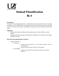 Animal Classification K-4