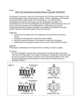 How Can Karyotype Analysis Detect Genetic Disorders