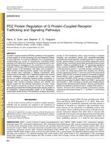 PDZ Protein Regulation of G Protein-Coupled Receptor