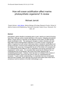 How will ocean acidification affect marine photosynthetic organisms