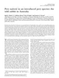 Prey naivete´ in an introduced prey species: the wild rabbit in Australia