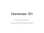 Hormones 101 - wsu