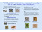 PHYTOPLANKTON: Role in fresh water ecosystem and water quality