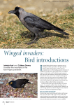 Winged invaders: Bird introductions