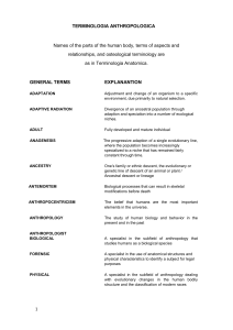 Terminologia Anthropologica (PDF document).