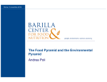 The Food Pyramid and the Environmental Pyramid Andrea Poli
