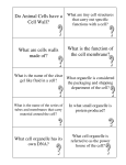 Do Animal Cells have a Cell Wall? What are cells walls made of