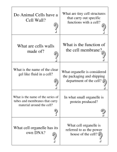 Do Animal Cells have a Cell Wall? What are cells walls made of