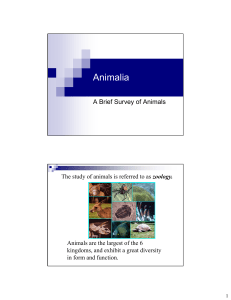 Chapter 6 – Survey of Animals