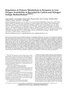 Regulation of Primary Metabolism in Response to