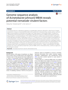 Genome-sequence analysis of Acinetobacter johnsonii MB44