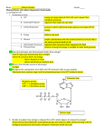 Chapter 8: Photosynthesis Study Guide