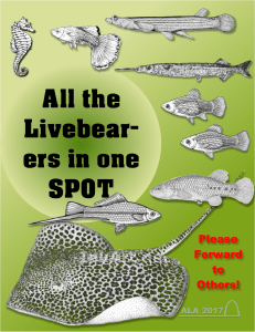 the Livebear- ers in one SPOT