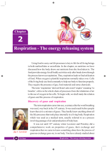 Respiration - The energy releasing system