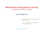 Wormholes and quantum cloning