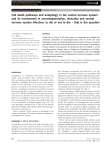 Cell death pathways and autophagy in the central nervous system