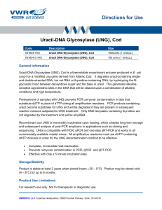 Directions for Use Uracil-DNA Glycosylase (UNG), Cod