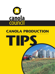 Canola ProduCtion - Canola Council of Canada