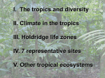 Tropical life zones