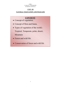 CONTENT Concept Of Flora And Fauna. Types Of Vegetation Of