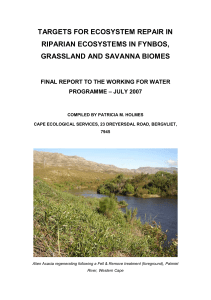 (2007). Targets for ecosystem repair in riparian ecosystems