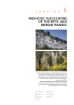 mesozoic successions of the betic and iberian ranges