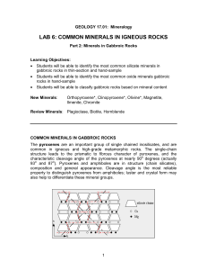 lab 6: common minerals in igneous rocks