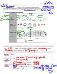 Name: Date: Aim 38: What occurs during the female menstrual cycle