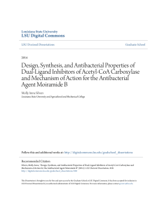 Design, Synthesis, and Antibacterial Properties of Dual