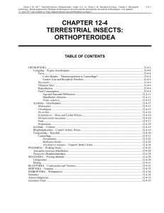 Volume 2, Chapter 12-4: Terrestrial Insects: Hemimetabola