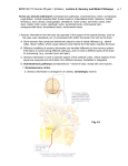 Lecture #6 Notes