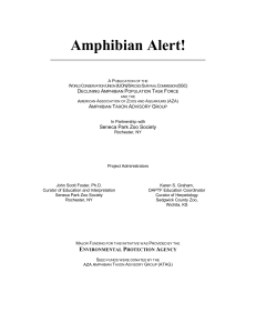 Amphibian Alert! Curriculum