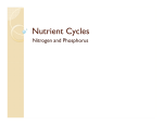 Nutrient Cycles notes
