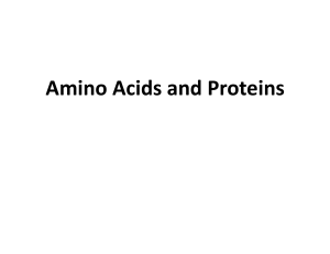 Amino Acids and Proteins - KSU Faculty Member websites