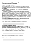 Photosynthesis reading review