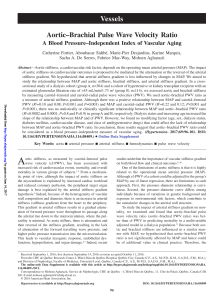 Aortic–Brachial Pulse Wave Velocity Ratio