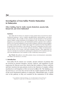 Investigation of Iron-Sulfur Protein Maturation in Eukaryotes